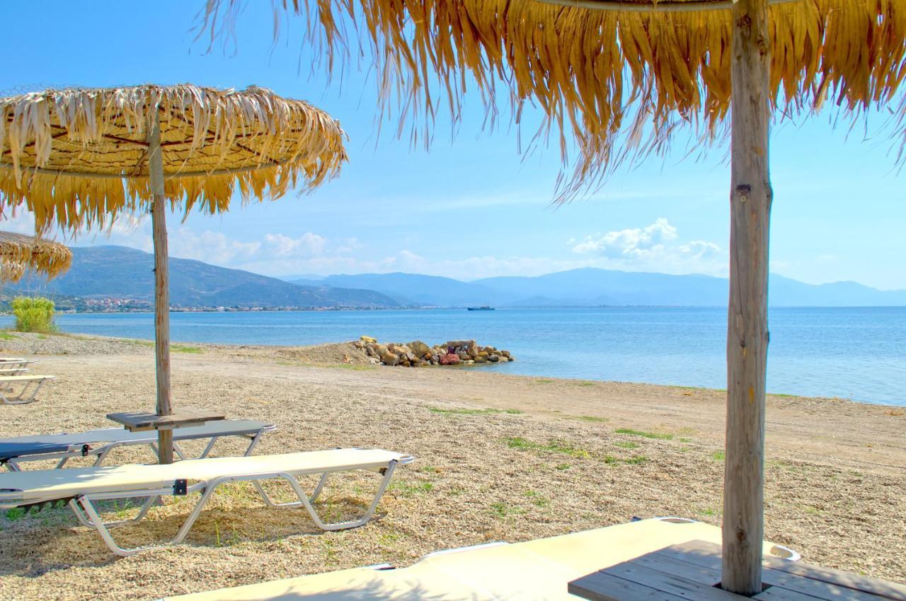 Epipleon Luxury Suites -102- Δωμάτιο 45τμ με βεράντα 35τμ μπροστά στη θάλασσα Ναύπακτος Εξωτερικό φωτογραφία